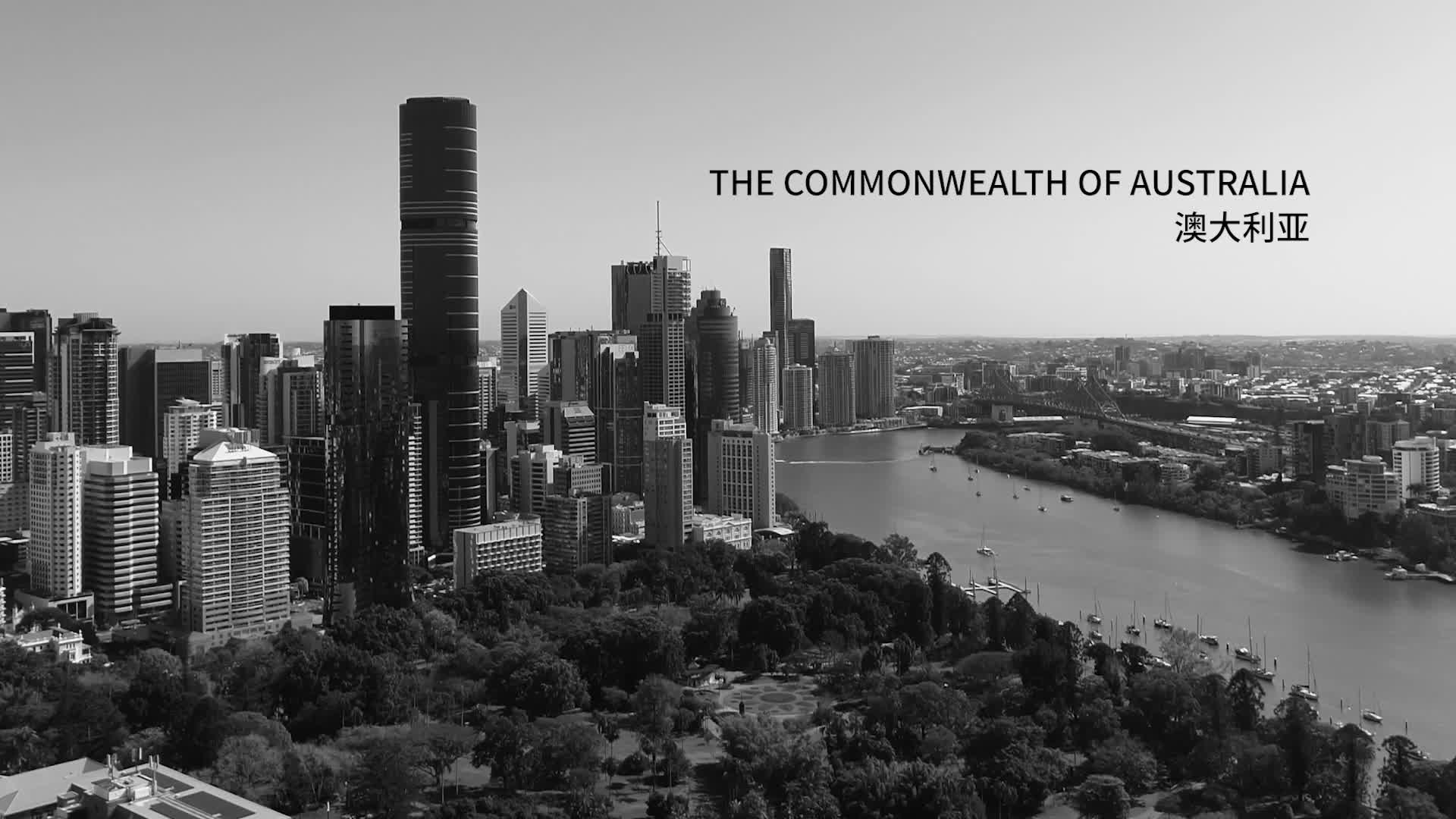 告別頭屑困擾，擁抱清爽舒適：男士洗護全面解決